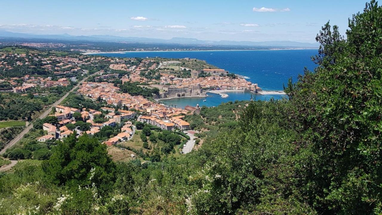 Chambre D'Hotes Villa Cote Vermeille アルジェレス・シュル・メール エクステリア 写真