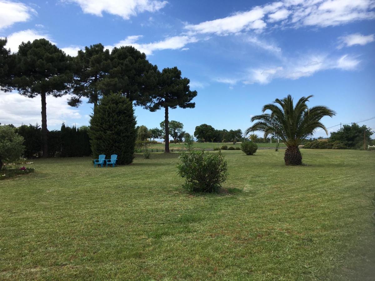 Chambre D'Hotes Villa Cote Vermeille アルジェレス・シュル・メール エクステリア 写真